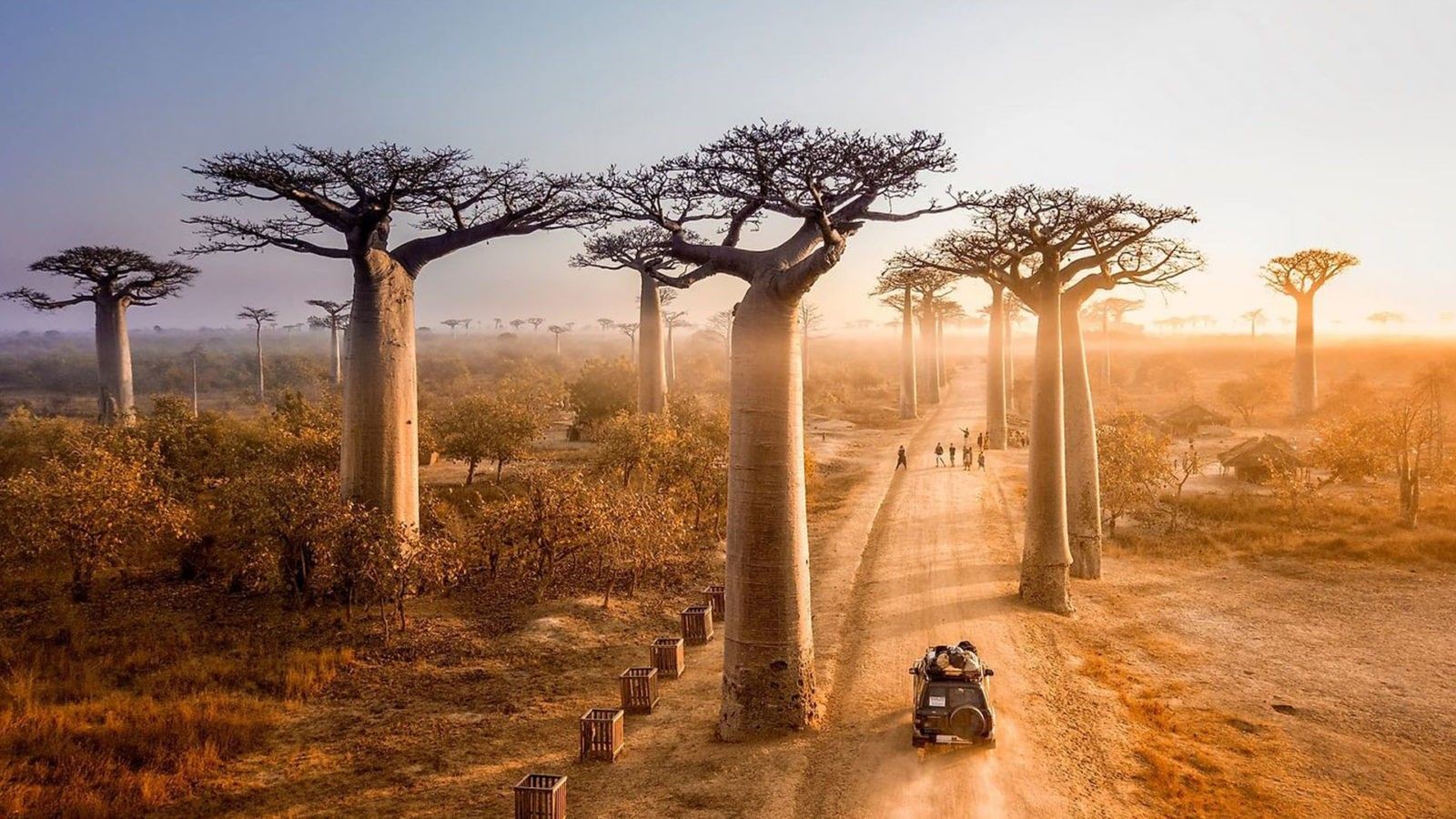 8 to 10 Days Tour to Morondava, Tsiribihina, Tsingy & Baobabs